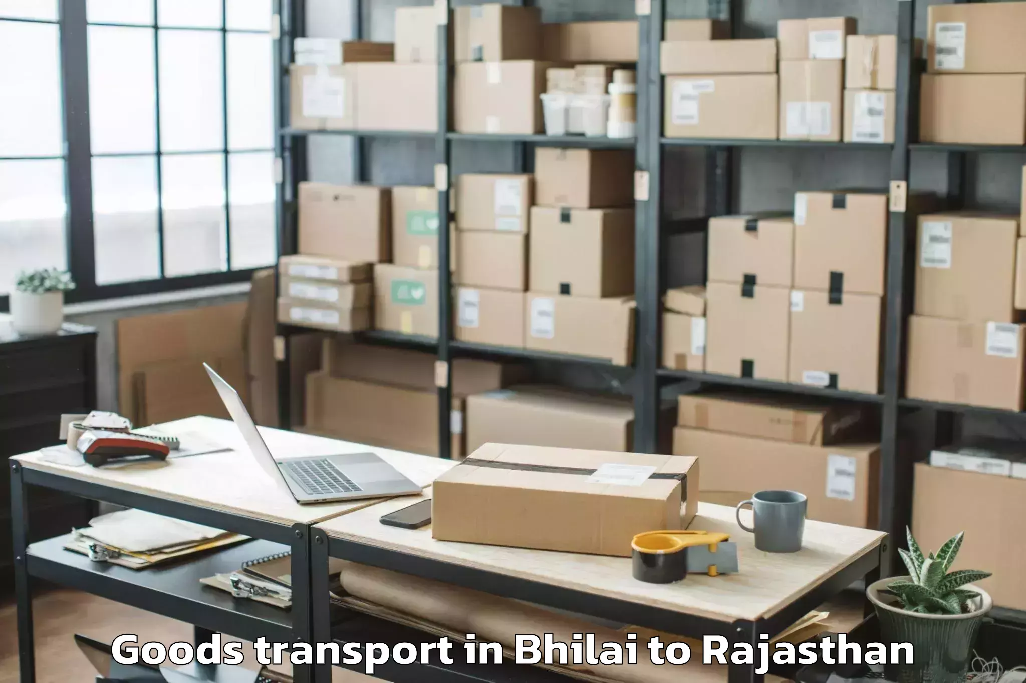 Quality Bhilai to Padampur Goods Transport